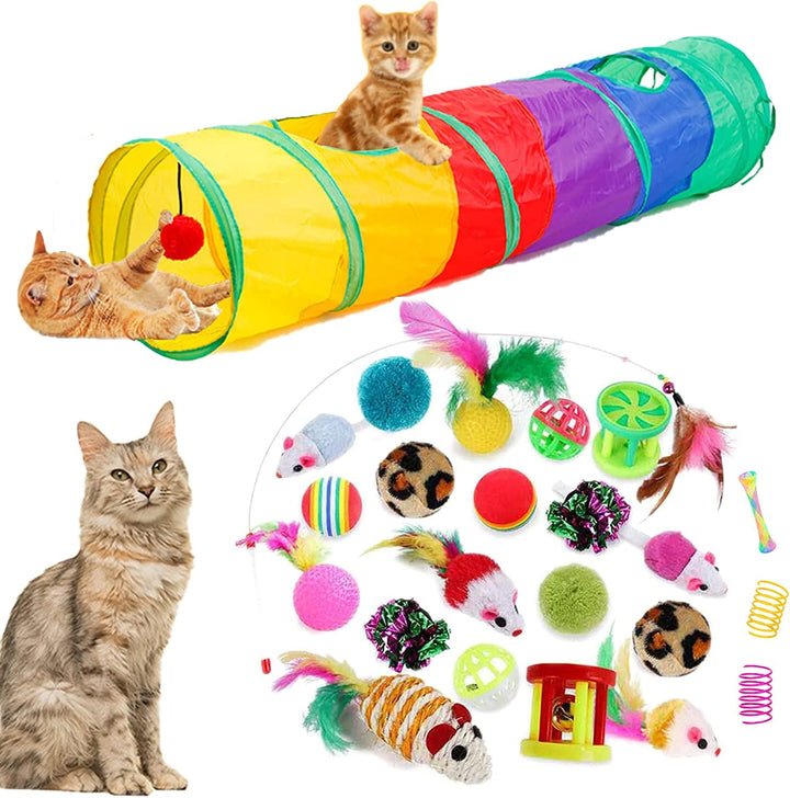 Cats
