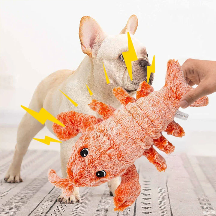 Dogs